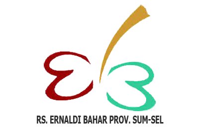 RS. Ernaldi Bahar Provinsi Sumatera Selatan
